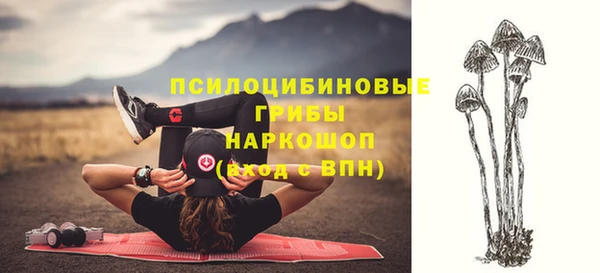 соль курить ск Балахна