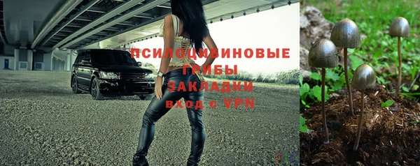 ALPHA PVP Баксан