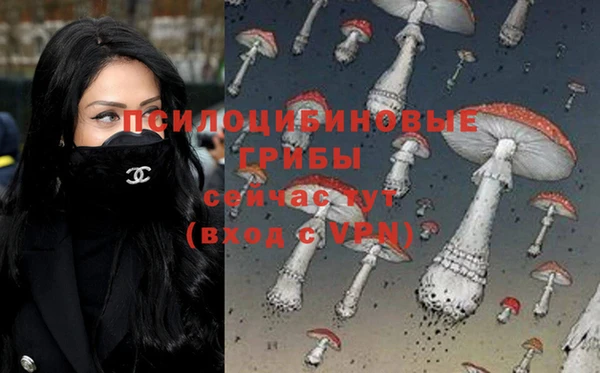 соль курить ск Балахна