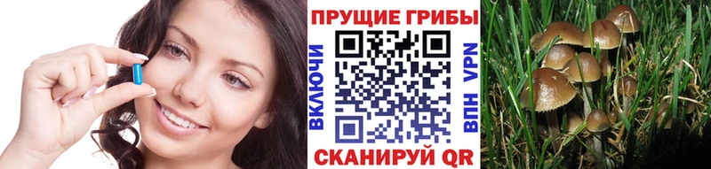 Купить  Черемхово  Галлюциногенные грибы Magic Shrooms 